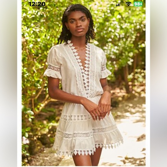 Anthropologie Dresses & Skirts - Anthropologie Peixoto Embroidered Lace Cover-Up Dress Size L NWT READ